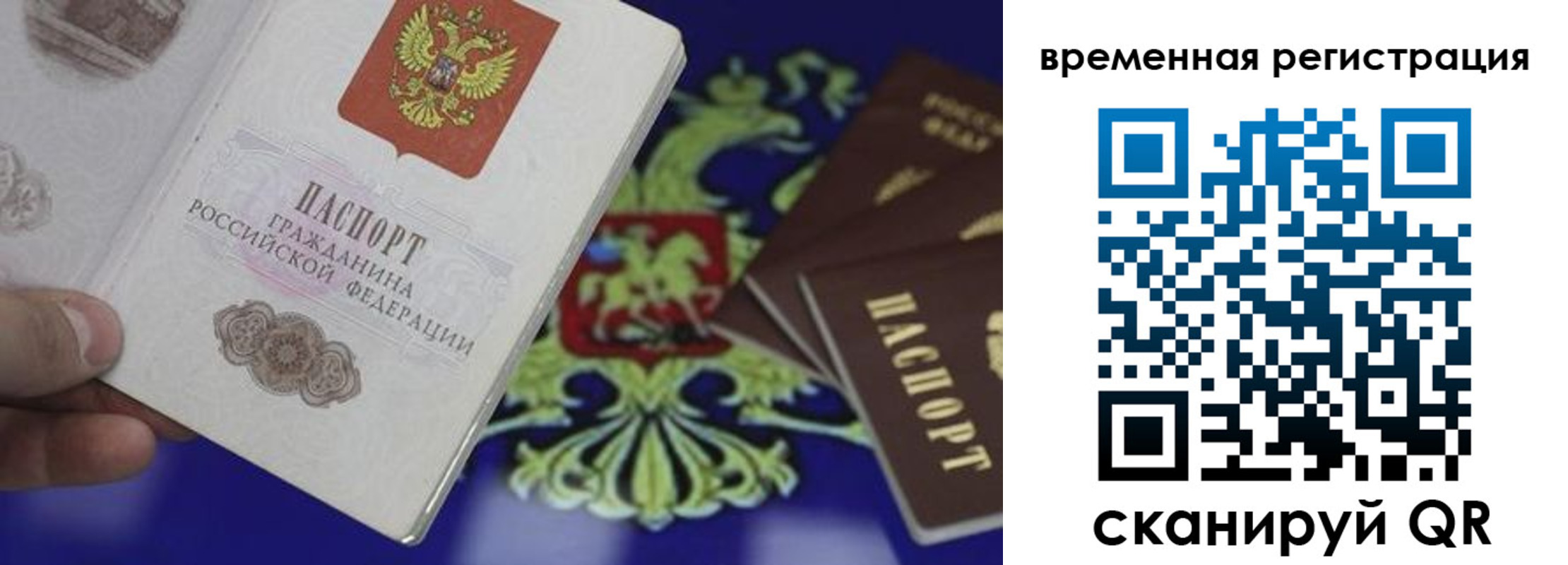 временная регистрация гарантия в Ростове-на-Дону
